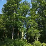 Kır Evi Gaestehaus Maria Rast