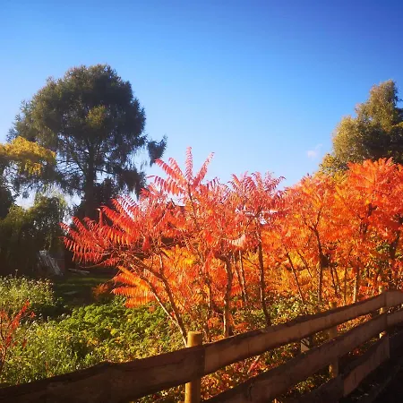 Gaestehaus Maria Rast Landhuis *