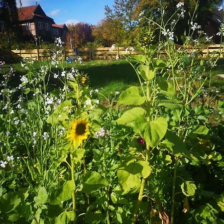 Gaestehaus Maria Rast Suderburg