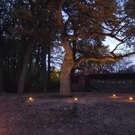 乡村民宿 Gaestehaus Maria Rast