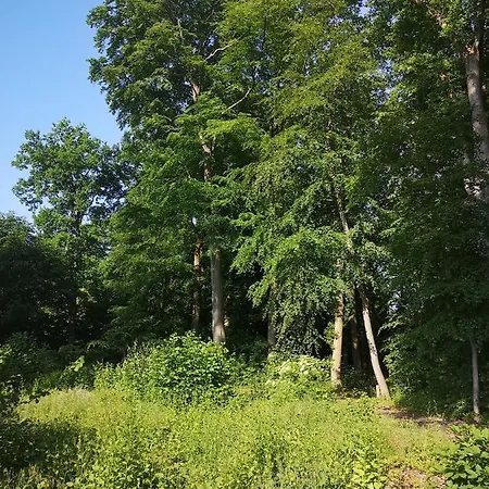 Gaestehaus Maria Rast Suderburg
