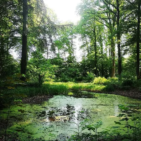 Landhuis Gaestehaus Maria Rast Suderburg