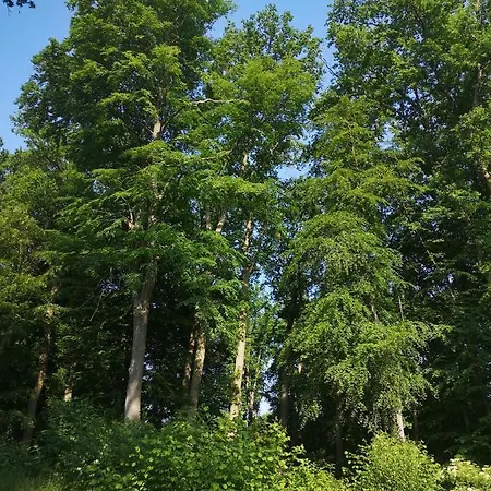 Hétvégi ház Gaestehaus Maria Rast