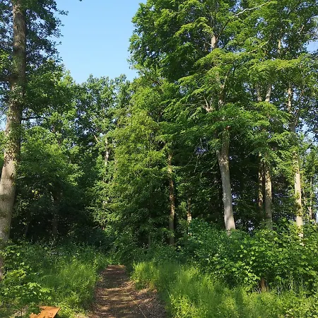 Gaestehaus Maria Rast 乡村民宿 *