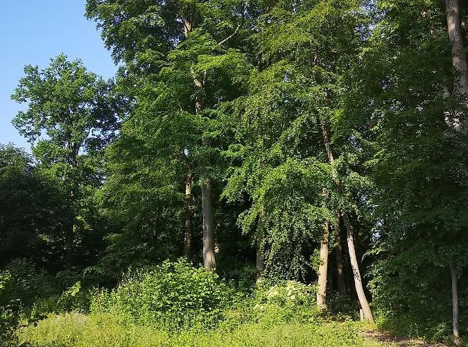 Gaestehaus Maria Rast Suderburg