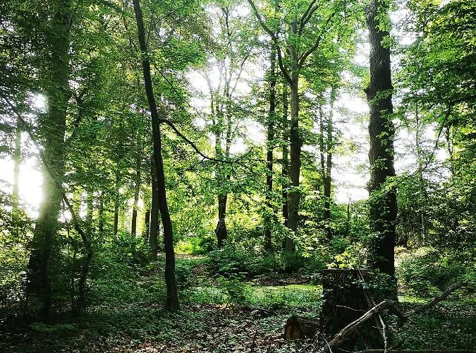 Gaestehaus Maria Rast Suderburg