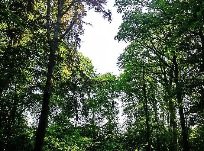 Séjour à la campagne Gaestehaus Maria Rast Suderburg